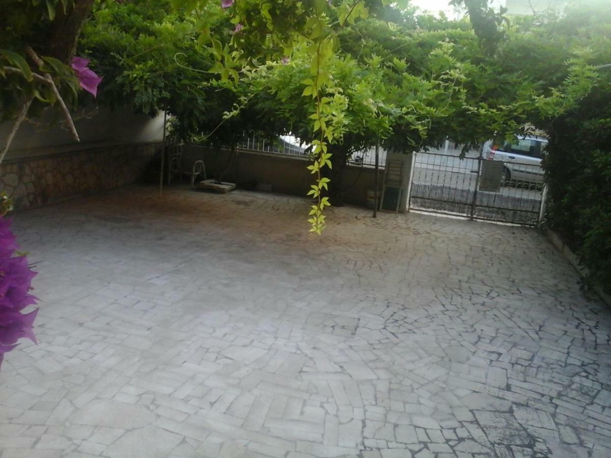 B&B Al Vecchio Glicine 토레깐느 외부 사진